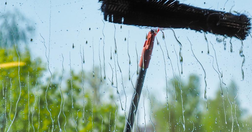 Image of Water Cleaning Brush